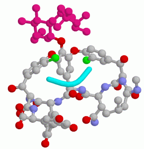 vancomycin