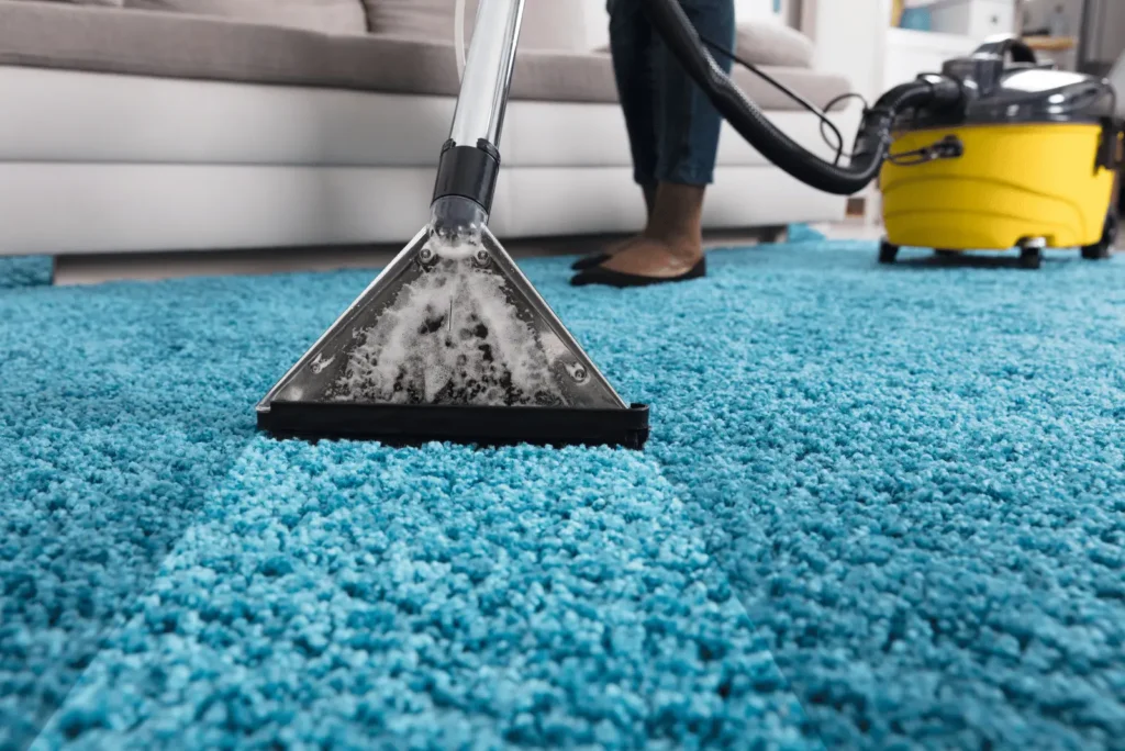 carpet-cleaning-services-1024x684